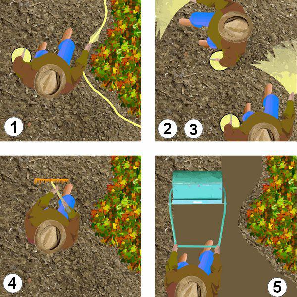 comment planter son gazon